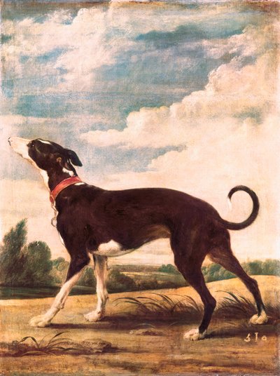 Un lievito da Paul De Vos