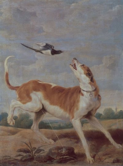 Il cane e la gazza – XVII secolo da Paul De Vos