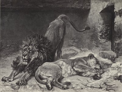 Il risveglio del leone da Paul Friedrich Meyerheim