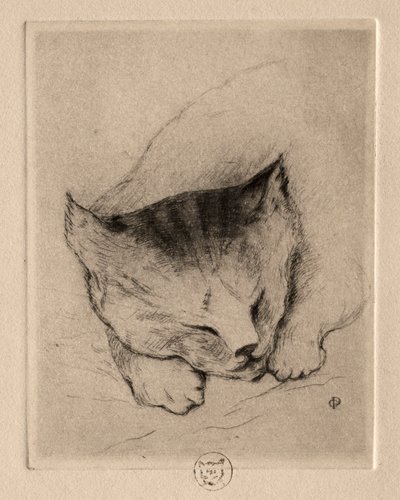 Sei Incisioni: Testa di un Gattino da Paul Gachet