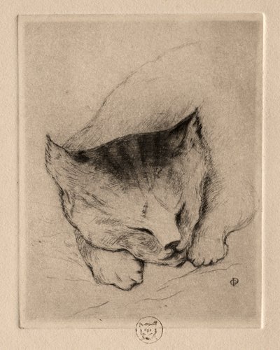 Sei incisioni: Testa di un gattino, 1895 da Paul Gachet