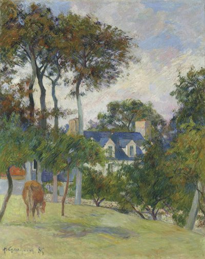 Francese: La Maison blanche / Le Château de l