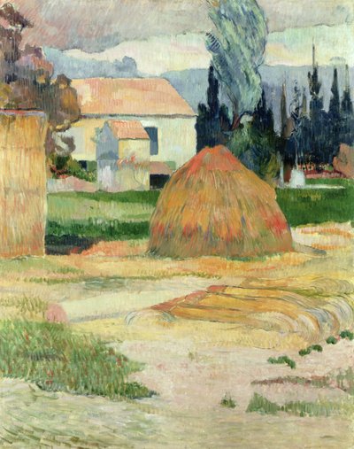 Paesaggio vicino ad Arles da Paul Gauguin