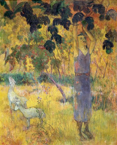 Uomo che raccoglie frutta da un albero da Paul Gauguin