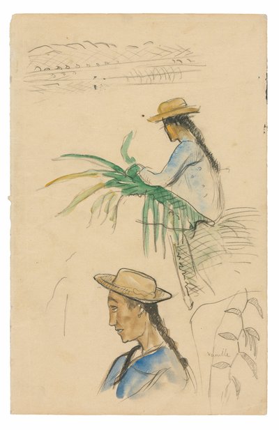 Schizzi di figure, foglia di pandanus e pianta di vaniglia da Paul Gauguin