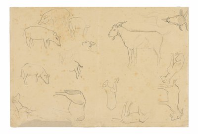 Schizzi di vari animali e di una testa (recto), schizzi di una testa, di una figura di profilo, di dettagli anatomici e di animali (verso). da Paul Gauguin