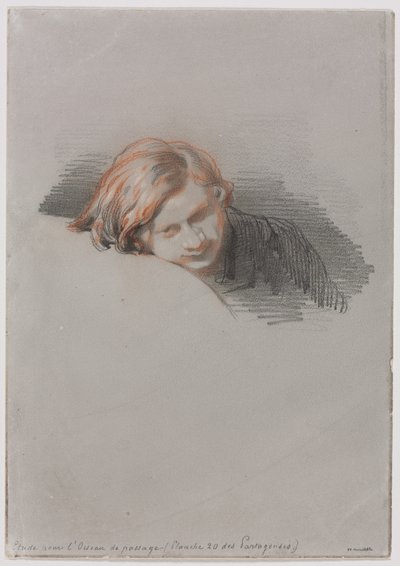 Testa di un giovane uomo (Studio per L
