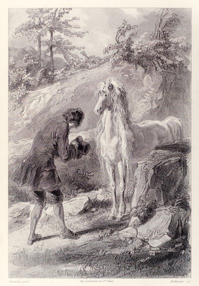 Il cavallo si fermò e mi fissò, dall