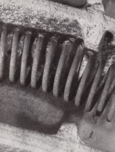 Filamento di un fuoco elettrico (foto in bianco e nero) da Paul Henning
