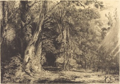 Inondazione nella foresta dell