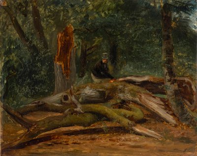 Nel bosco di Villers-Cotterêts da Paul Huet