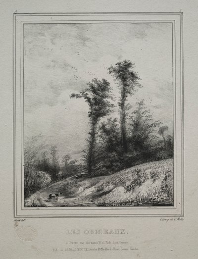 Paesaggi: Giovani olmi, 1829 da Paul Huet