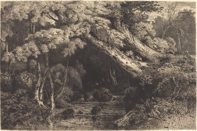 Ruscello di Saint-Pierre vicino a Pierrefond da Paul Huet