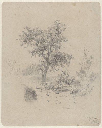 Paesaggio con quercia da Paul Joseph Constantin Gabriel
