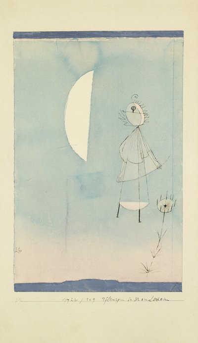 Piante al Chiaro di Luna da Paul Klee