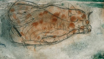 Gatto che dorme da Paul Klee