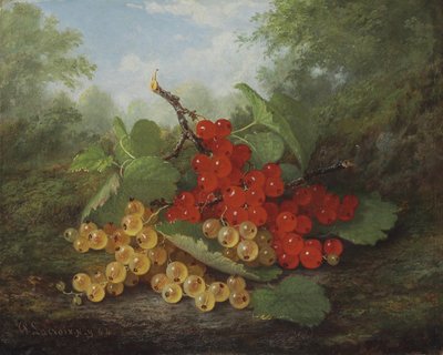 Natura morta con ribes rosso e bianco da Paul Lacroix