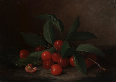 Natura morta con ciliegie da Paul Lacroix