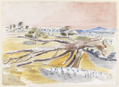 Campo di mostri, Studio II da Paul Nash