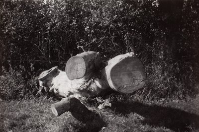 Trovare un oggetto da Paul Nash