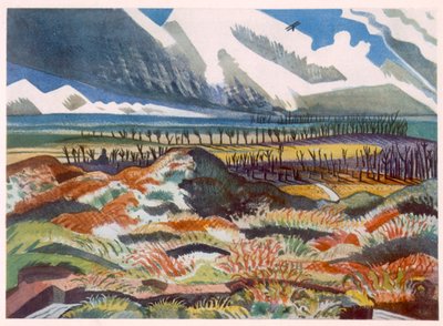 Paese in rovina, Vimy, da British Artists at the Front, Continuation of The Western Front, Parte Tre, Paul Nash da Paul Nash