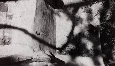 Step Edge; sotto il giardino di Nash a New House, Rye, Sussex da Paul Nash
