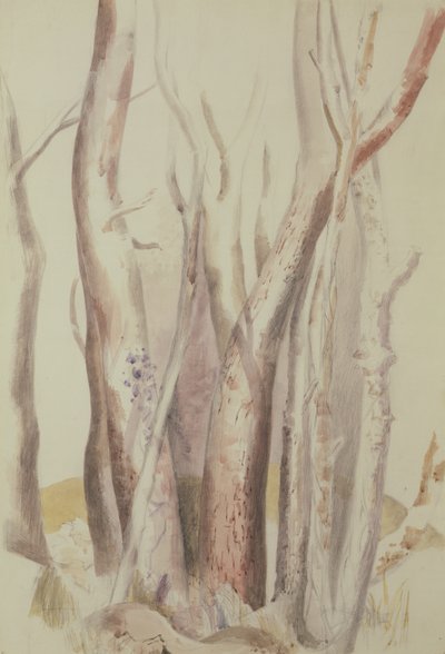 Studio di un paesaggio boscoso da Paul Nash