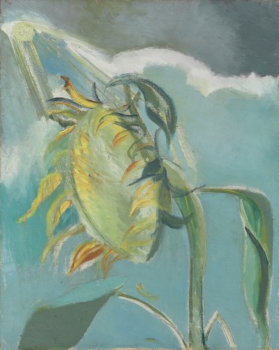 Girasole e sole, c. 1945 da Paul Nash