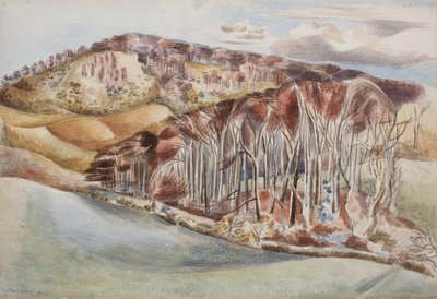 Legno e collina da Paul Nash