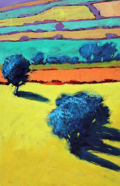 Cotswold Way (dettaglio) da Paul Powis