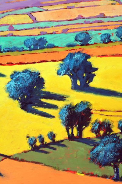 Cotswold Way (dettaglio) da Paul Powis