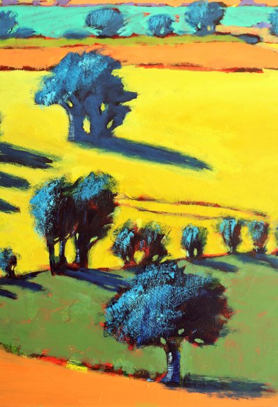 Cotswold Way primo piano 5 da Paul Powis