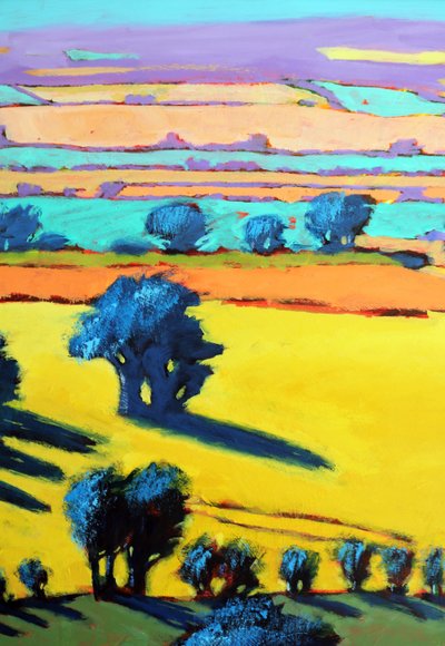 Cotswold Way da vicino 6 da Paul Powis