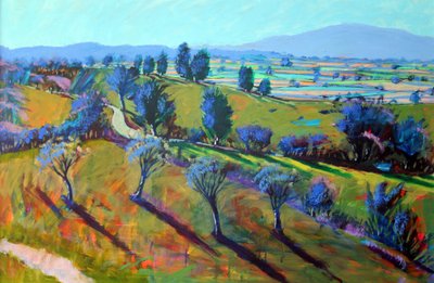 Sorgente di Crickley Hill da Paul Powis