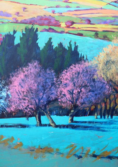 Teme Valley aprile (dettaglio) da Paul Powis
