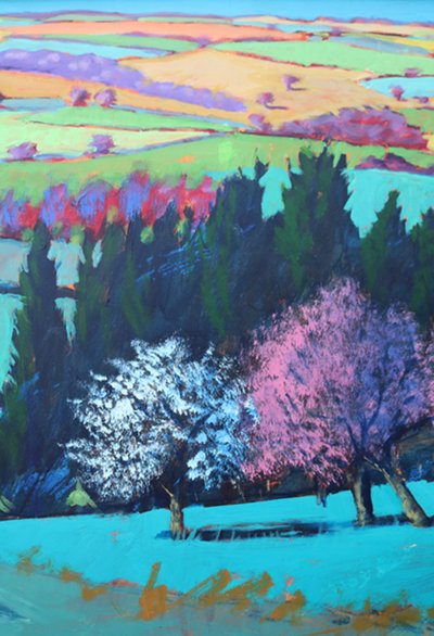 Teme Valley aprile (dettaglio) da Paul Powis
