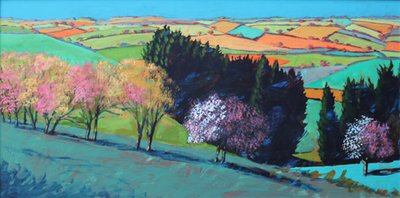 Teme Valley fioritura da Paul Powis