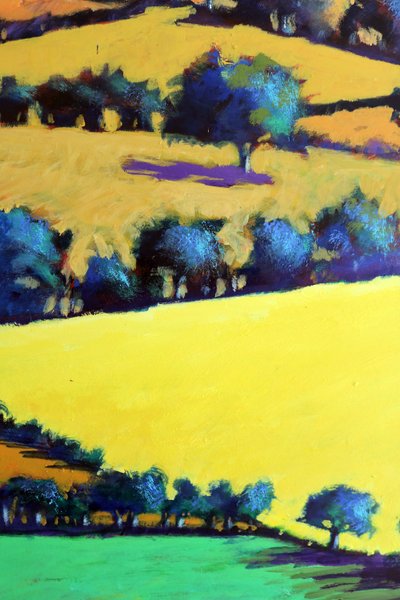 Quercia bianca da vicino 3 da Paul Powis