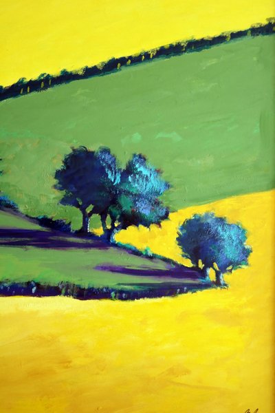 Quercia bianca primo piano 9 da Paul Powis