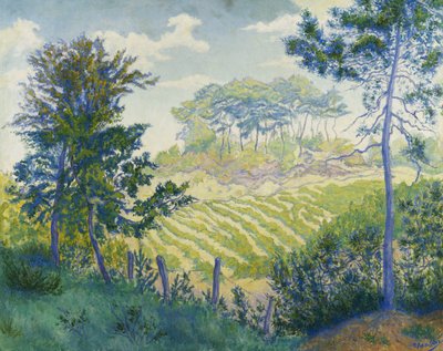 Vigneti Sotto i Pini, c. 1898 da Paul Elie Ranson