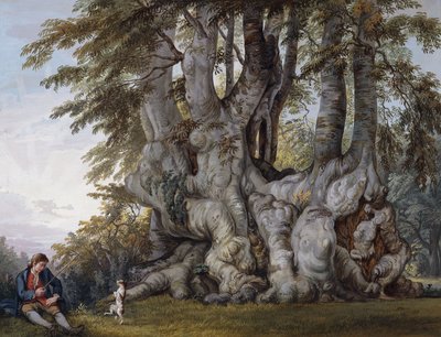 Un ragazzo che fa ballare un cane vicino al tronco di un antico faggio nodoso da Paul Sandby