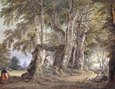 Una contadina che raccoglie ramoscelli, e figure sedute vicino al tronco di un antico faggio nodoso da Paul Sandby
