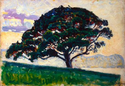 Grande pino, Saint-Tropez da Paul Signac