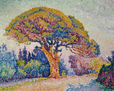 Signac, Pino di Bertaud da Paul Signac