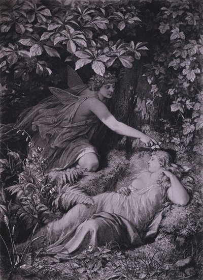 Scena da Sogno di una notte di mezza estate di Shakespeare (Atto IV, Scena 1) da Friedrich Paul Thumann