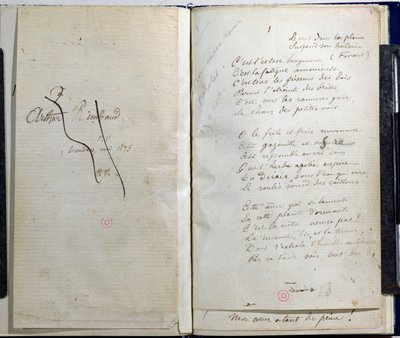 Pagine manoscritte da 