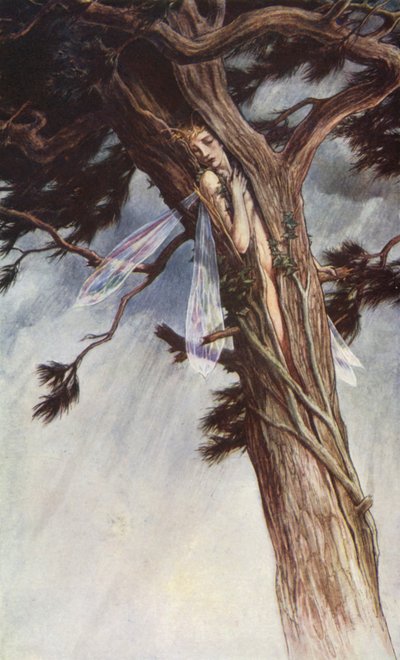 La tempesta di William Shakespeare, Atto I, Scena 2 da Paul Vincent Woodroffe