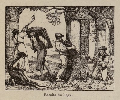  da Paul de Laubadere