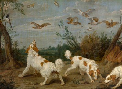 Caccia alla pernice da Paul De Vos
