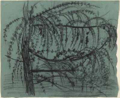 Albero da Frutto in Fiore da Paula Modersohn Becker